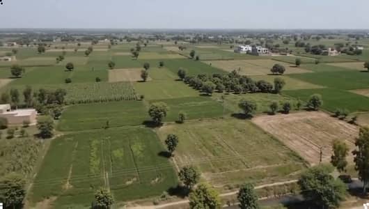 Lahore Organic Farms Society Located On Main Barki Road, Lahore.