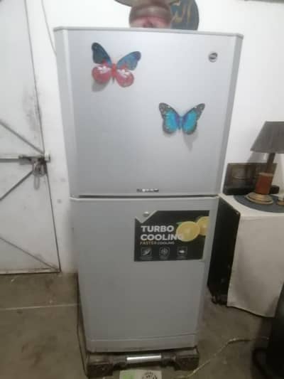 pel fridge