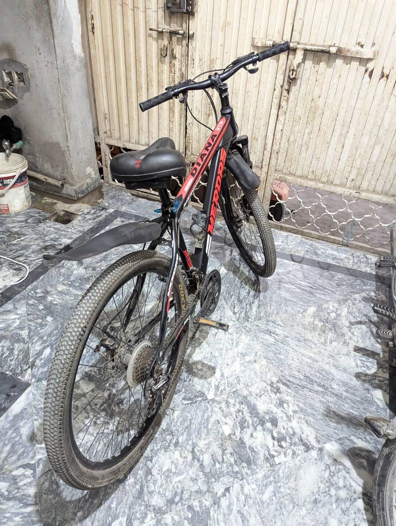 bicycle 0