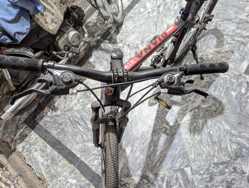 bicycle 2