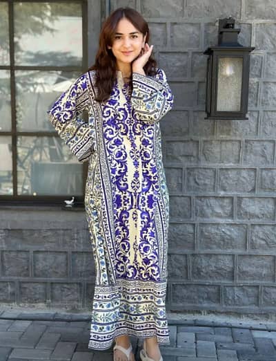 Elegant Blue and White Traditional Printed Dress