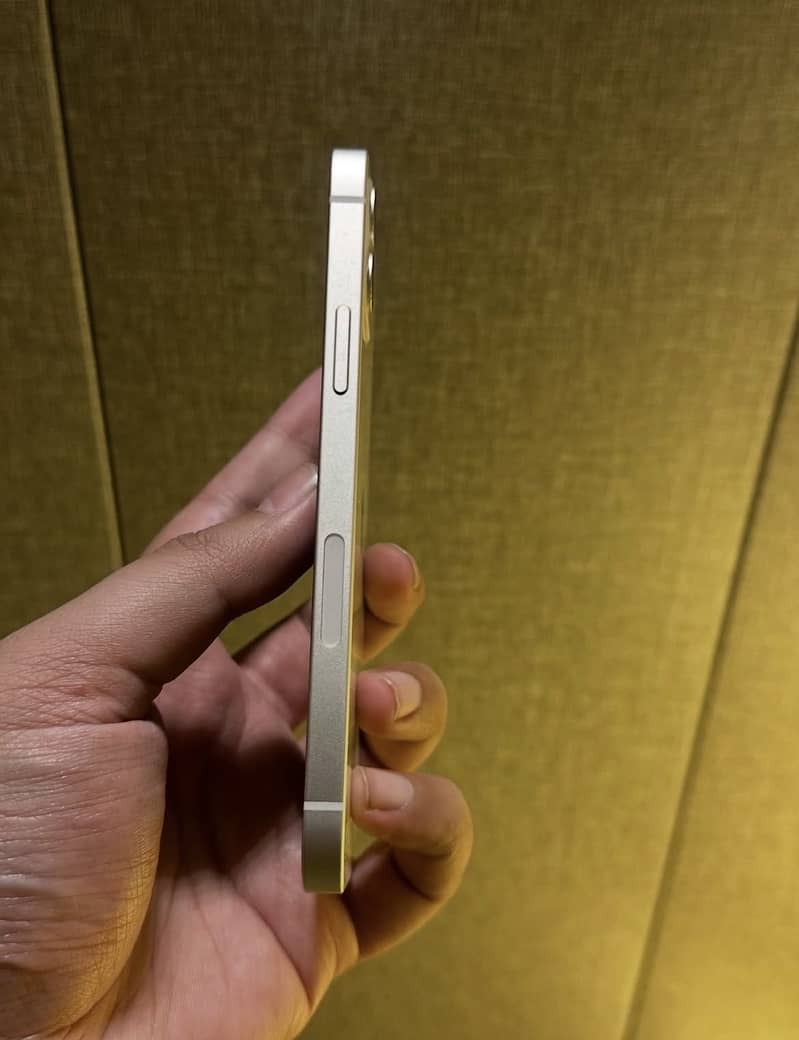 Apple iPhone 12 1