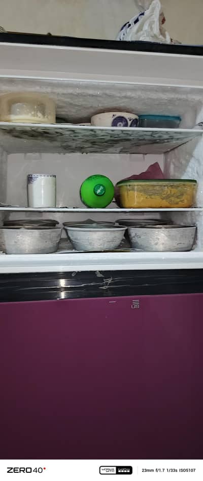 dawlance ful size fridge