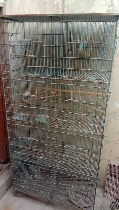 3 cage