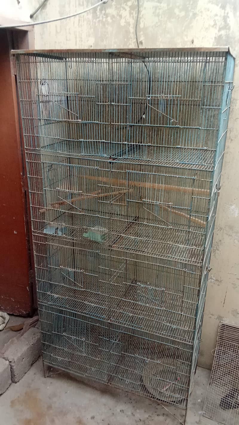 3 cage 1