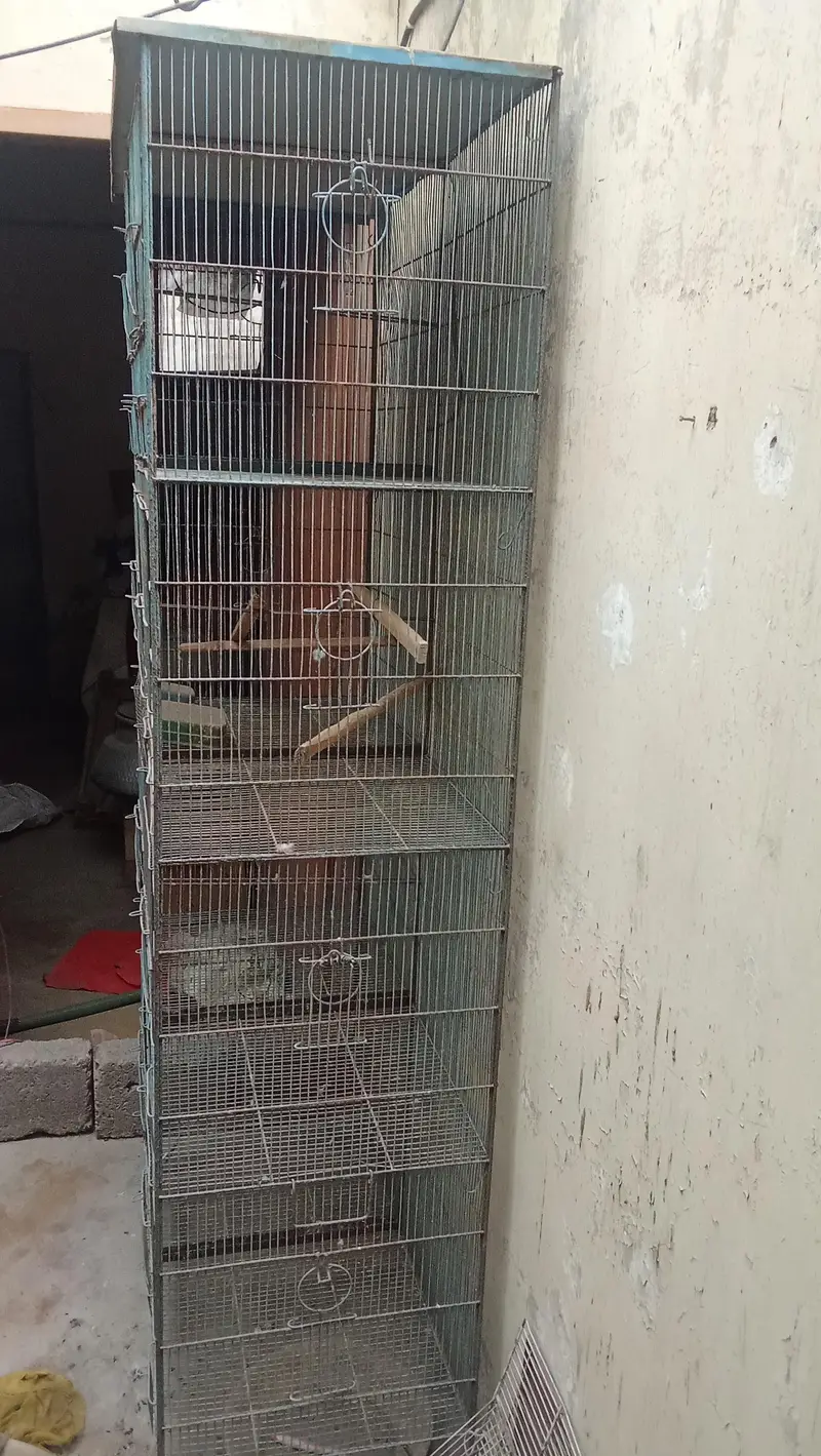 3 cage — photo 3