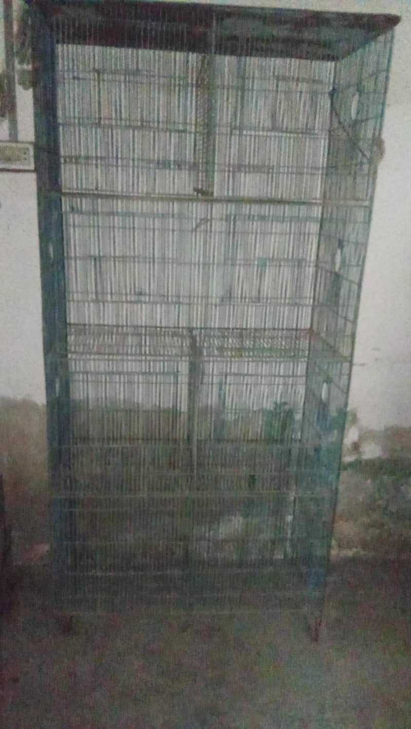 3 cage 3
