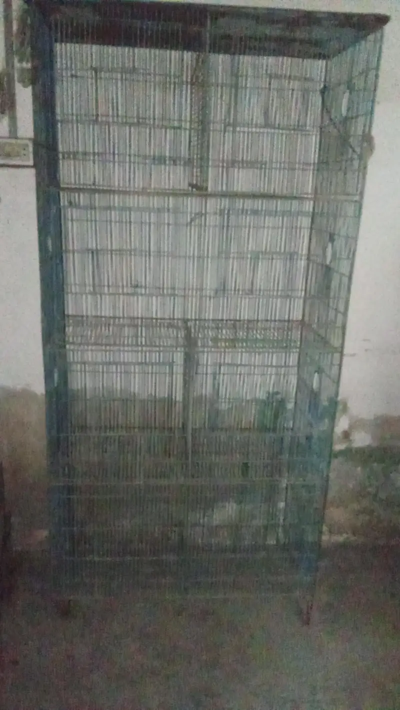 3 cage — photo 4