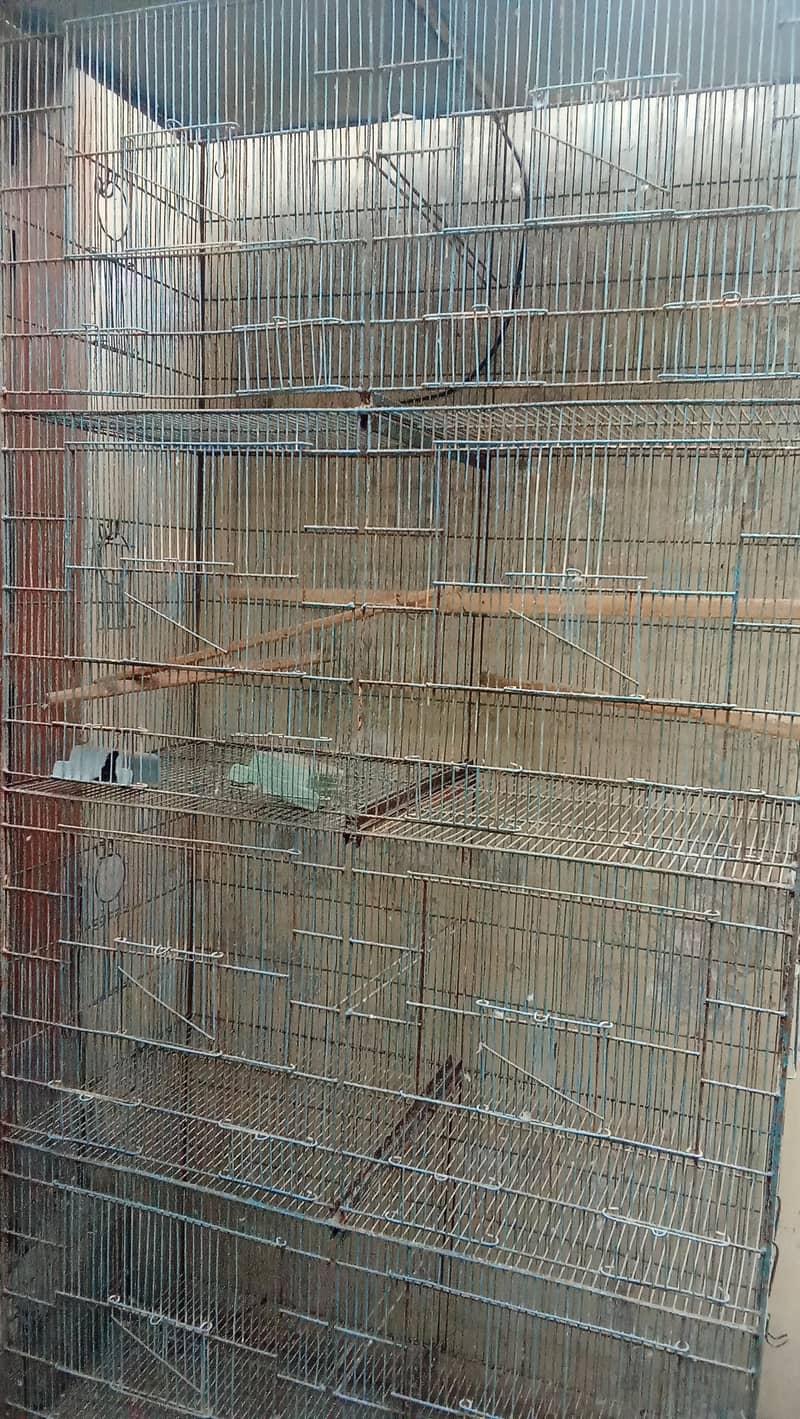 3 cage 4