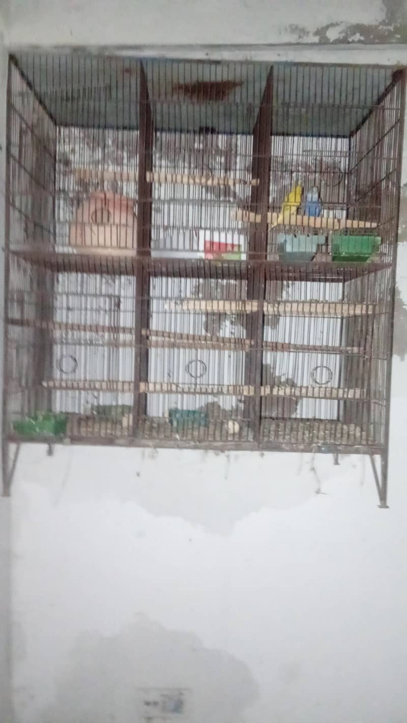 3 cage 7