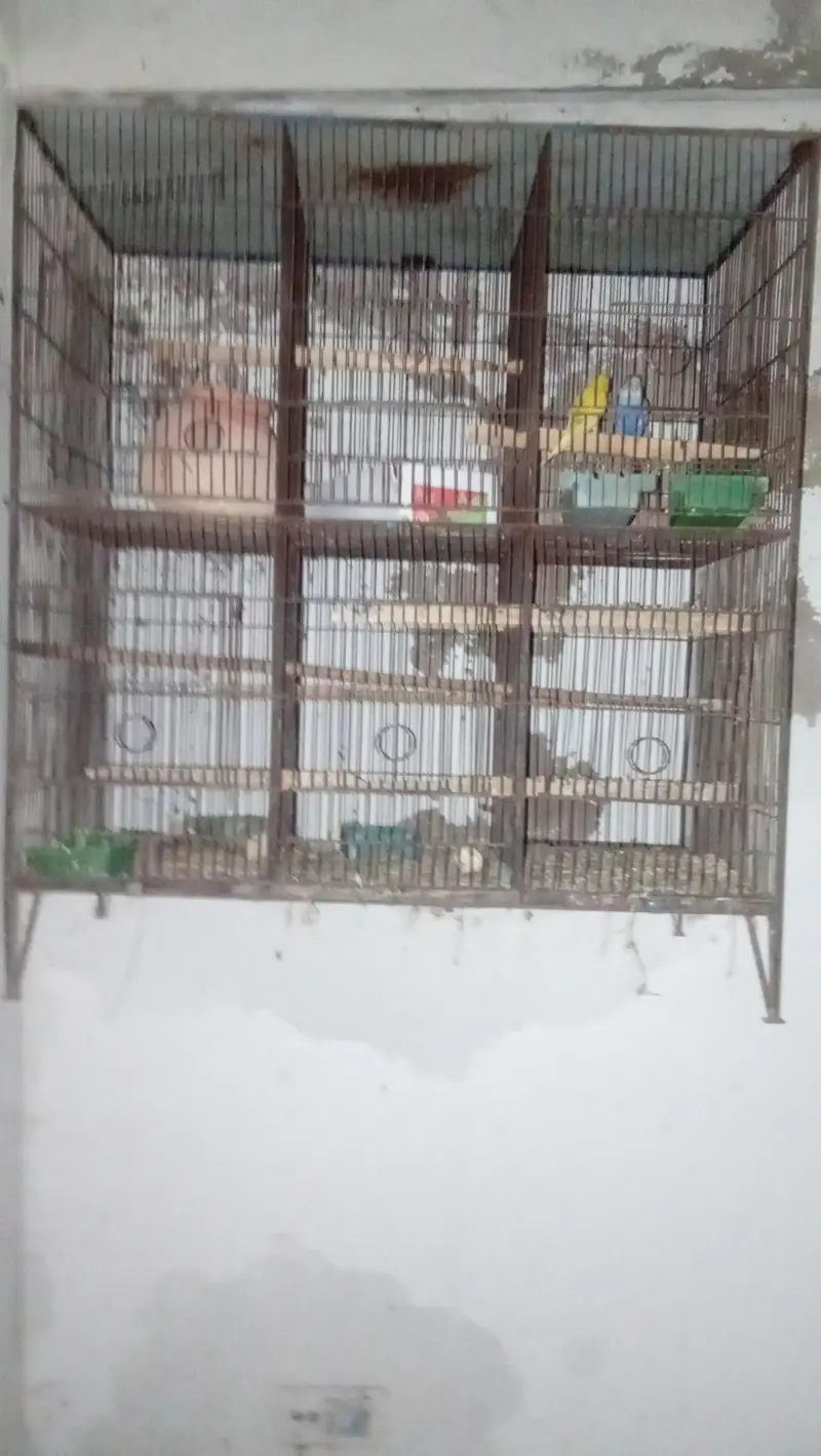 3 cage — photo 8