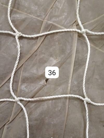 indoor cricket net