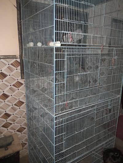 Used Cage 4 Portion 2.5 x 2.5