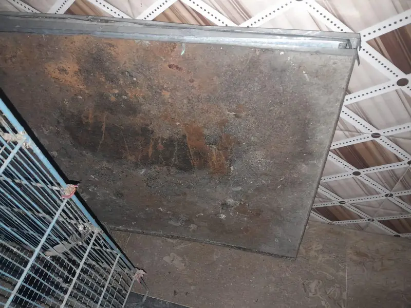 Used Cage 4 Portion 2.5 x 2.5 — photo 2