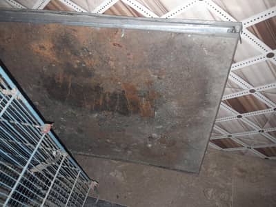 4 Portion Fixed Cage 2.5' x 2.5'