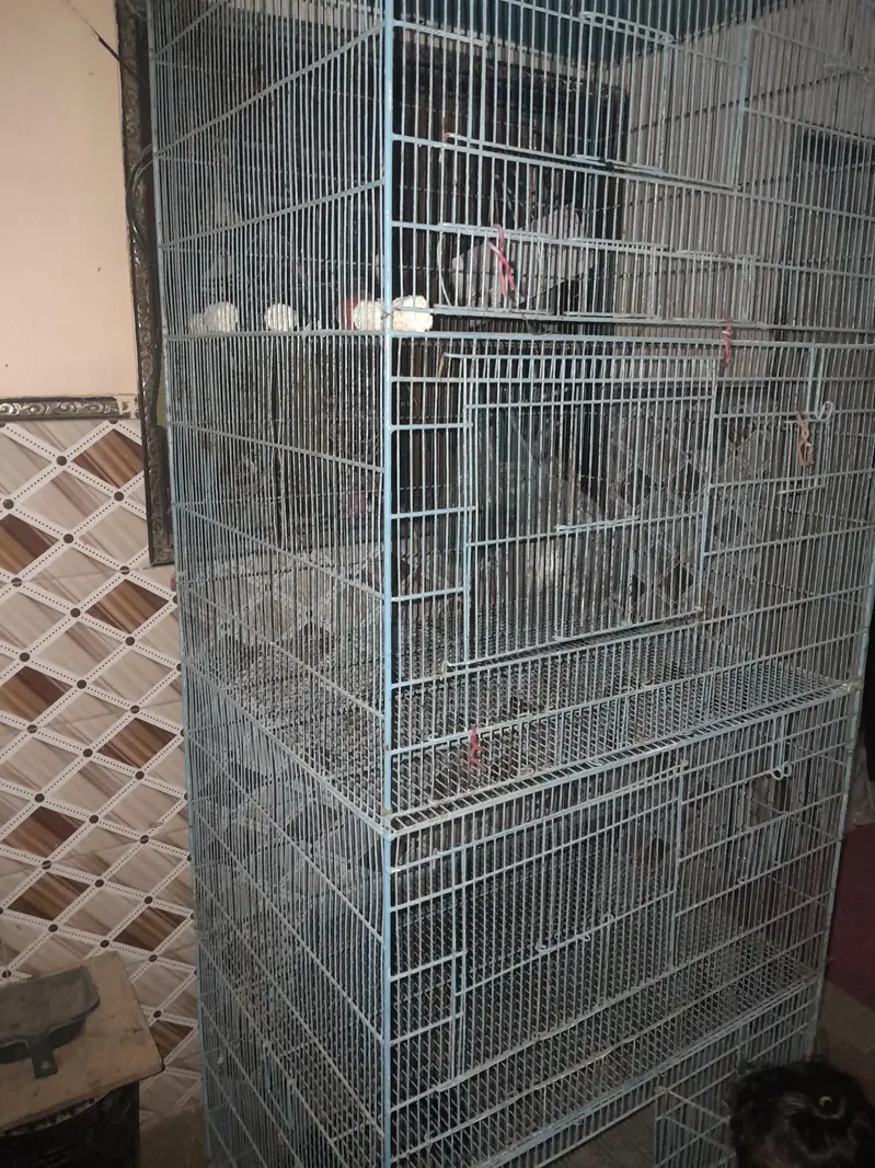 4 Portion Fixed Cage 2.5' x 2.5' — photo 2