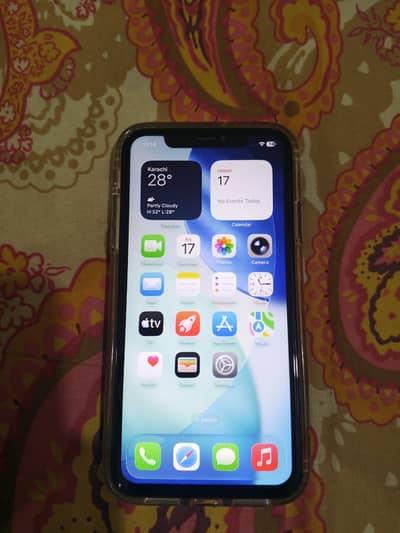 iPhone 11 ( 4 month sim time available )