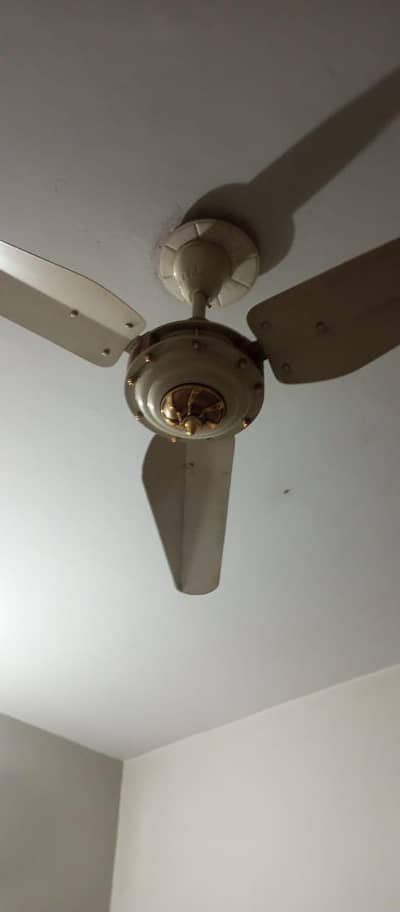 8 fan ha coper my ha