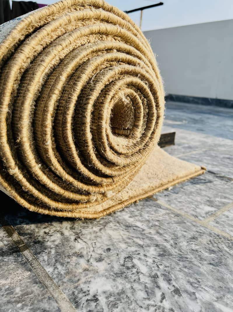 Master size Carpets 2
