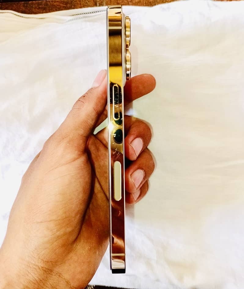 13pro 3