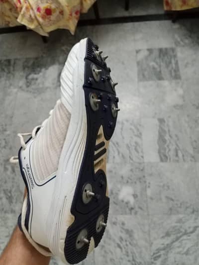 Cricket shoes