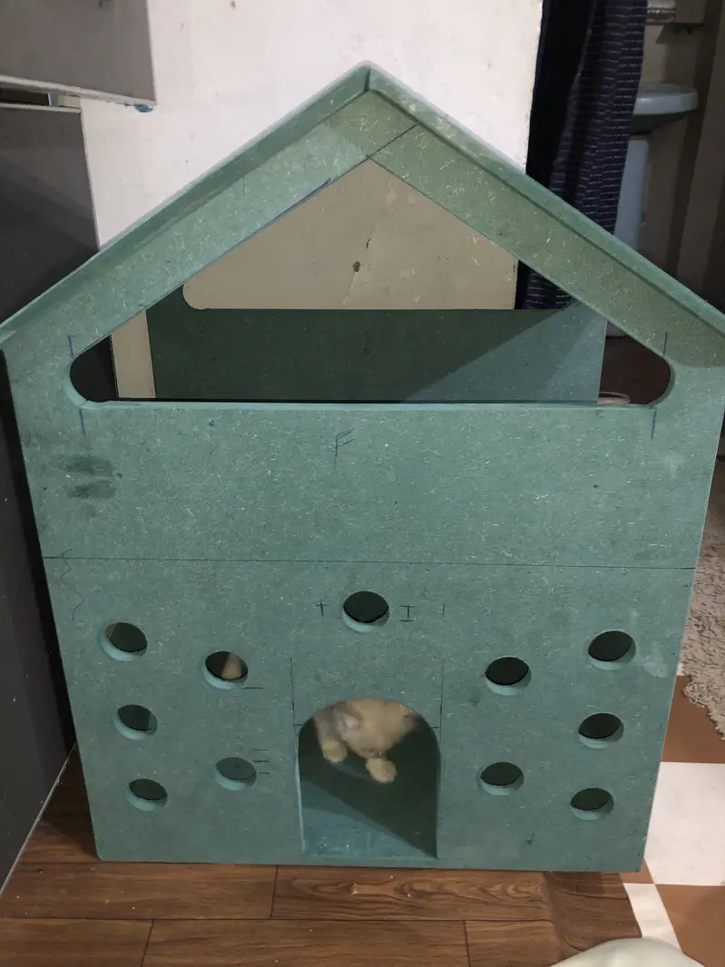 Cat house for sale — photo 5