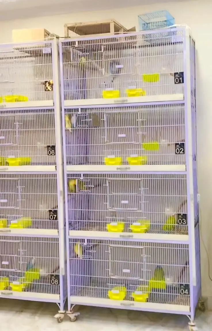 cages for sale — photo 2