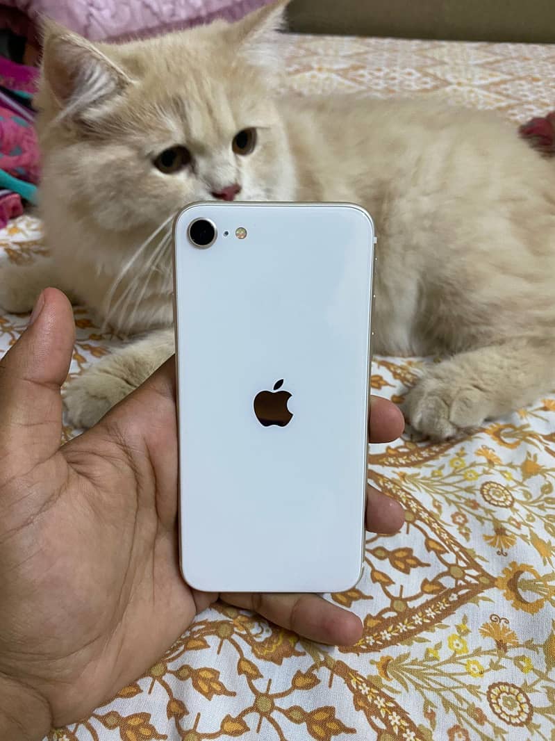 Apple iPhone SE 1