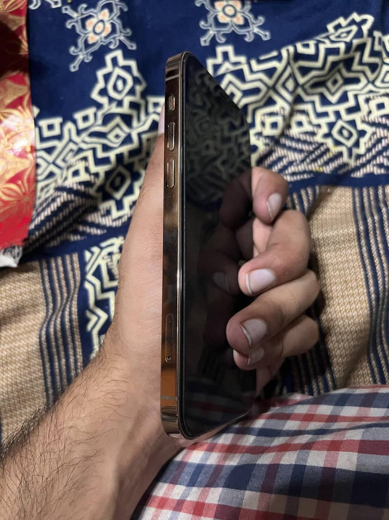 iPhone 12 Pro 2