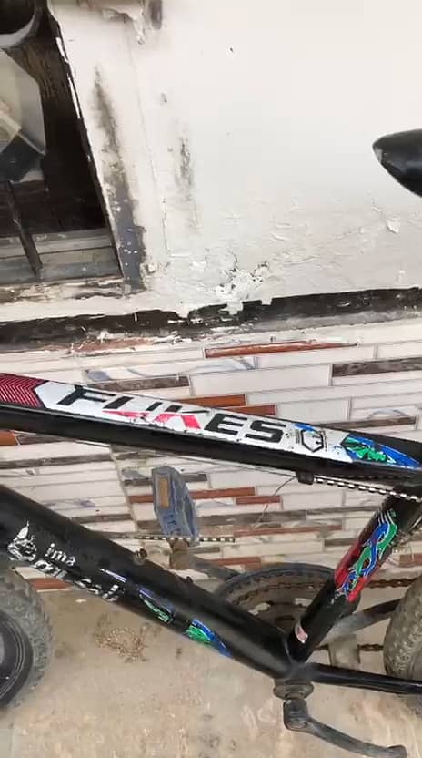 FLIKES mountain cycle 2