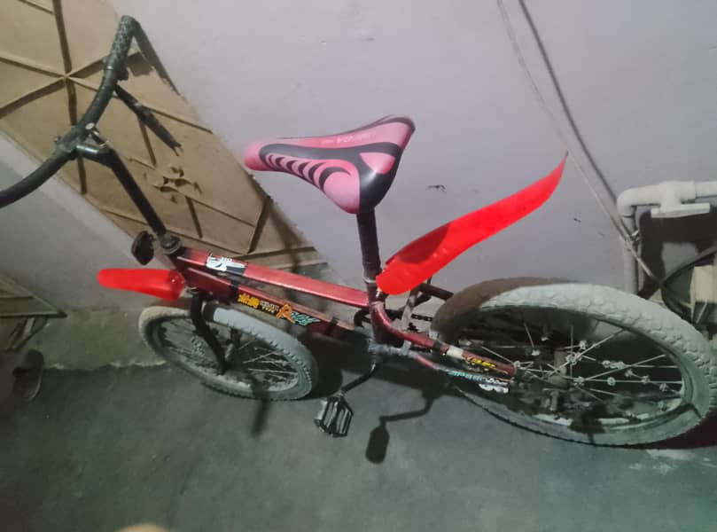 cycle 2