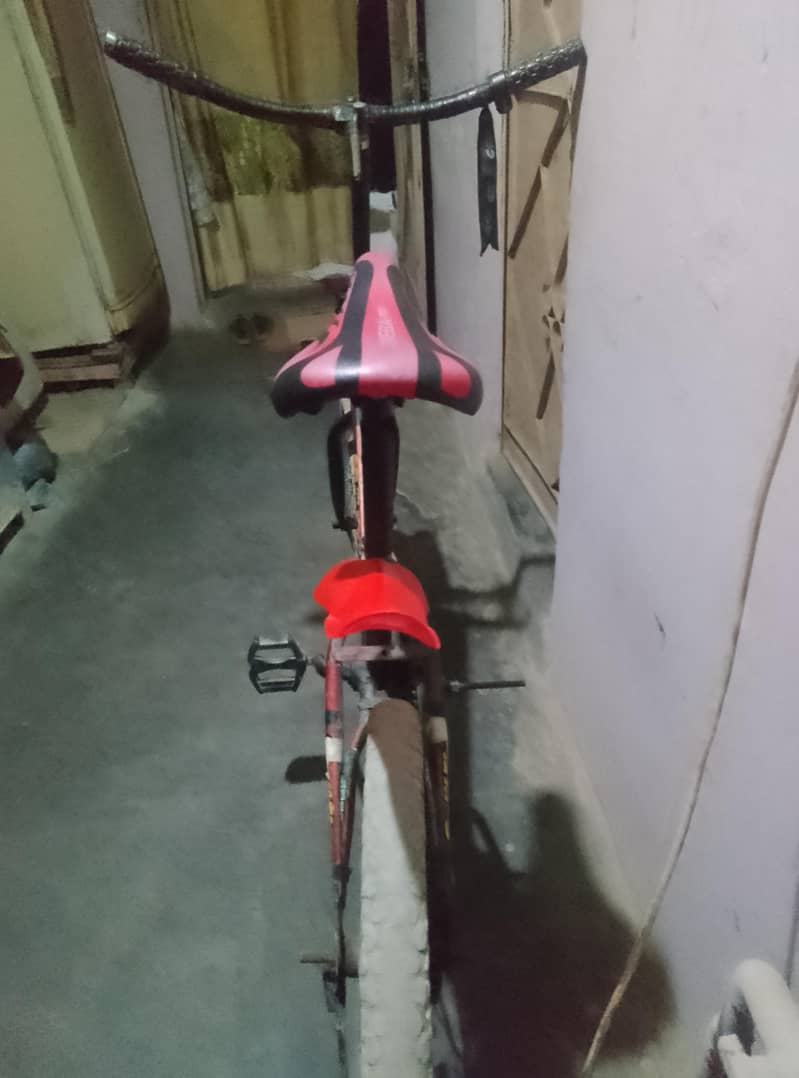 cycle 3