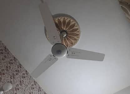 100%copper pqk fan