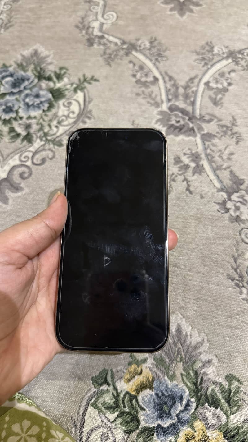 Apple iPhone 16 Pro 1