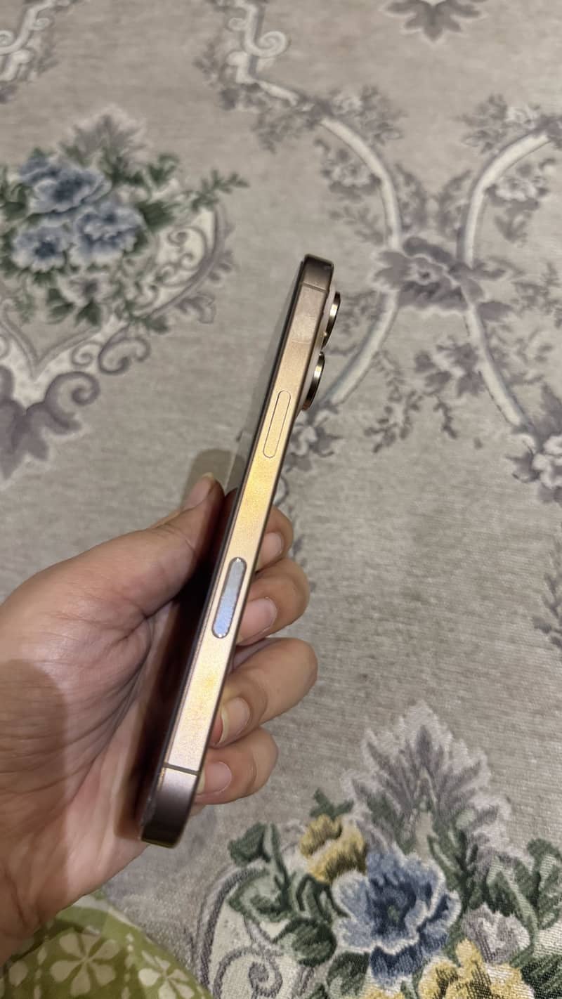 Apple iPhone 16 Pro 2