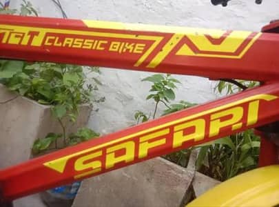 20 inch size ha safari cycle 03089739250