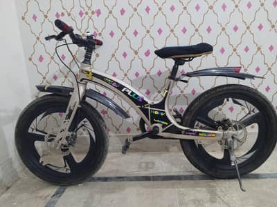 Bicycle (Imported)