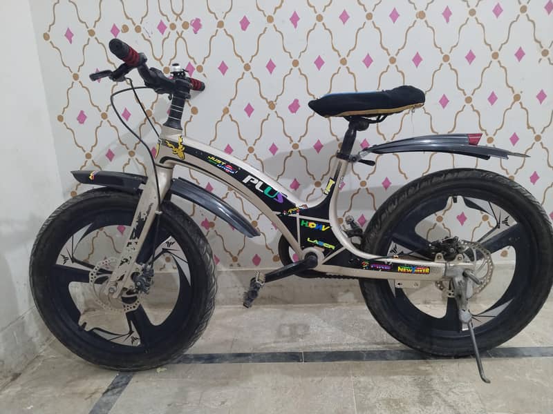 Bicycle (Imported) 0