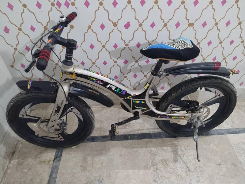 Bicycle (Imported) 2
