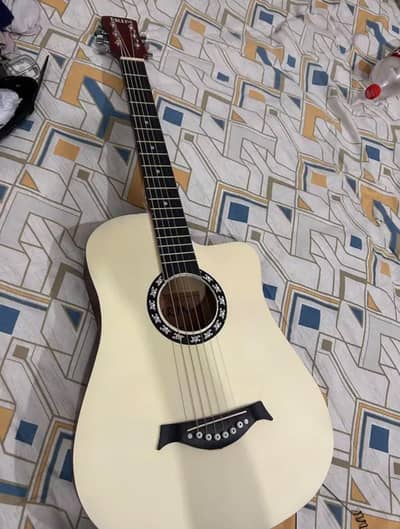 acoustic guitar