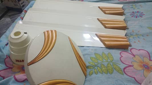 Royal fan in excellent condition