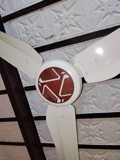 Pak fan AC DC