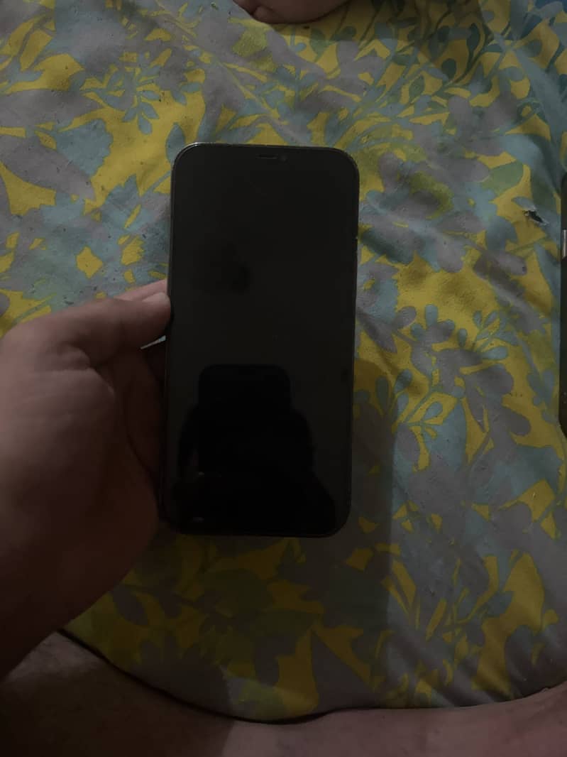 iPhone 12 Pro Max 2