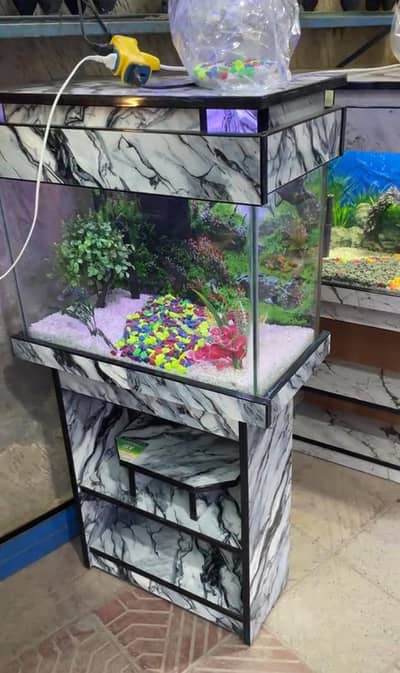 Fish and Aquarium Munasib price