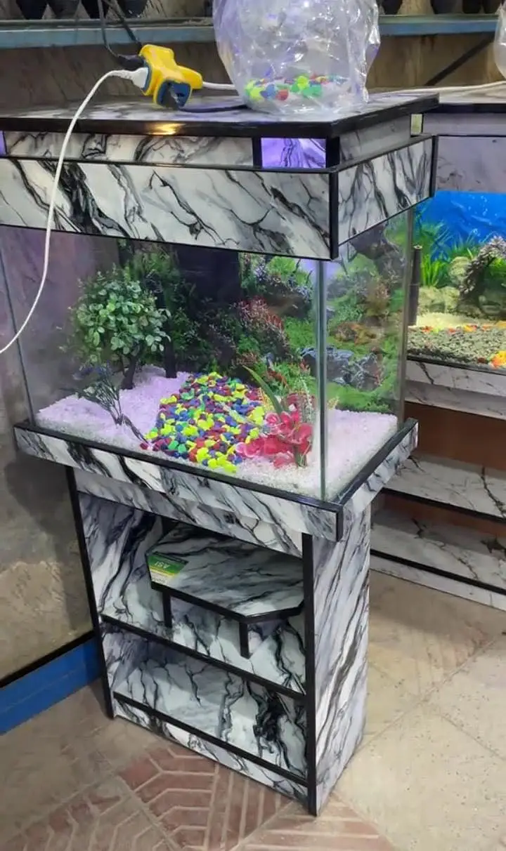 Fish and Aquarium Munasib price