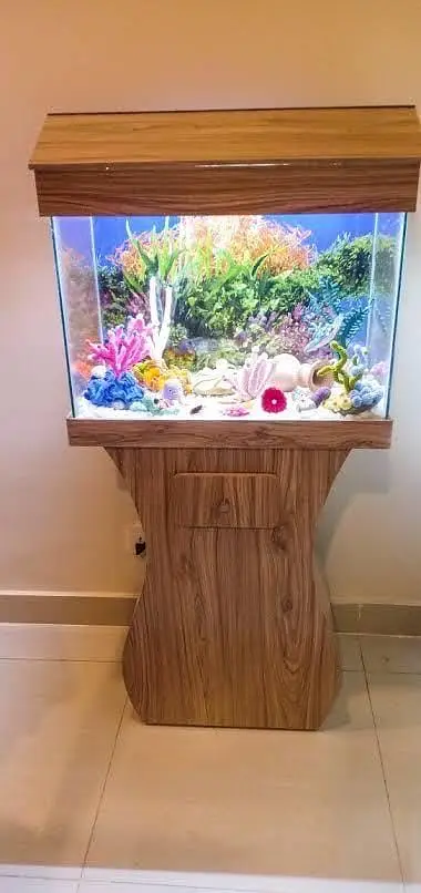 Fish and Aquarium Munasib price — photo 5