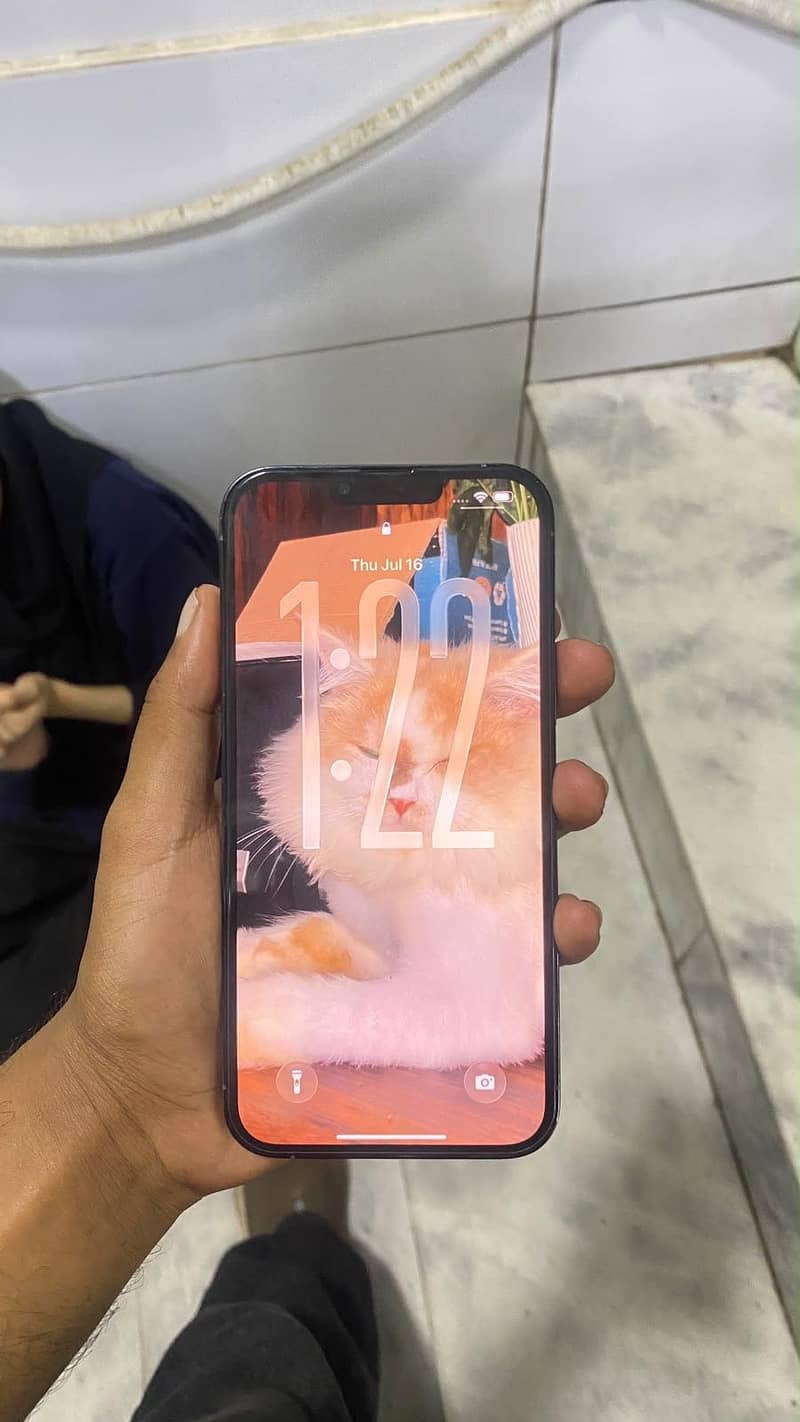 Iphone 13 Pro Max 1
