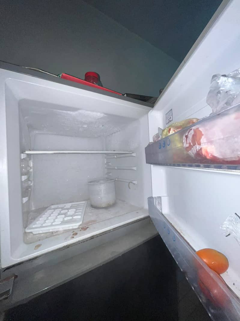 fridge 1