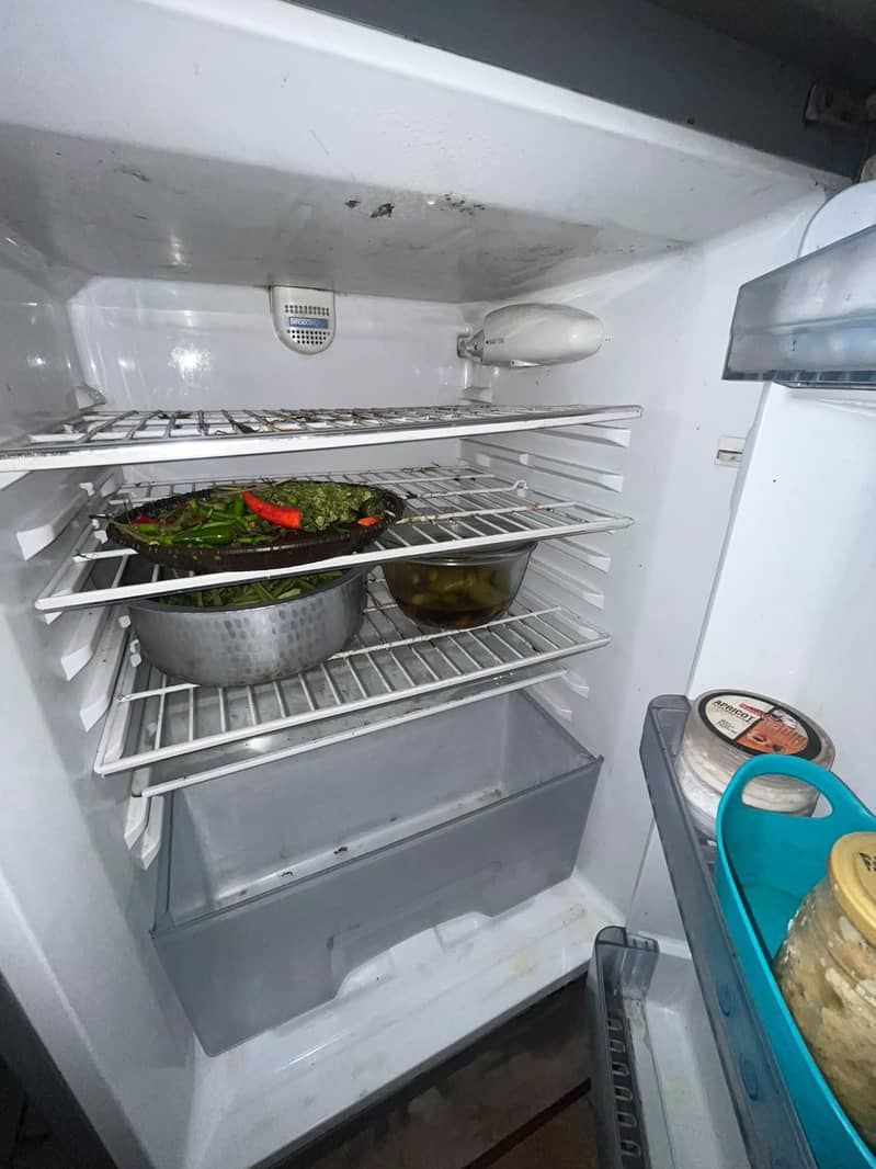 fridge 3