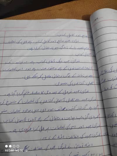 I m professional assignment writer